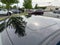 2015 Acura TLX 3.5L V6 SH-AWD w/Technology Package
