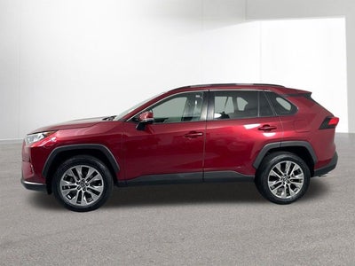 2019 Toyota RAV4 XLE Premium