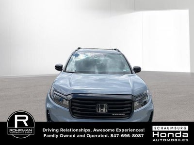 2024 Honda Passport Black Edition