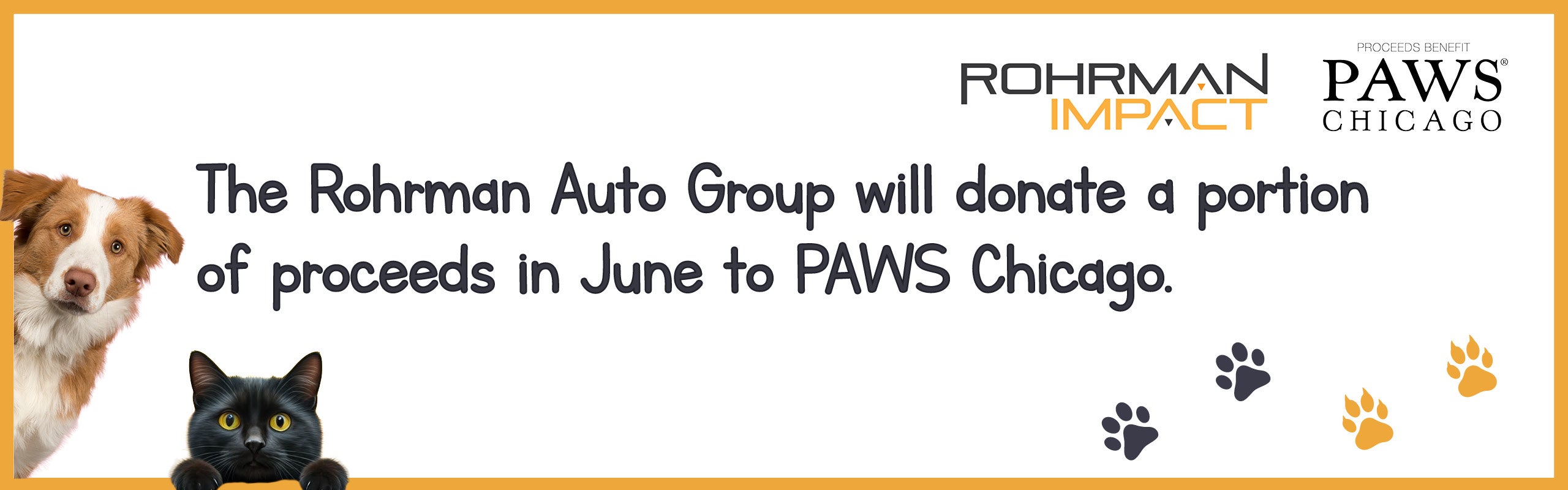 PAWS Chicago donation