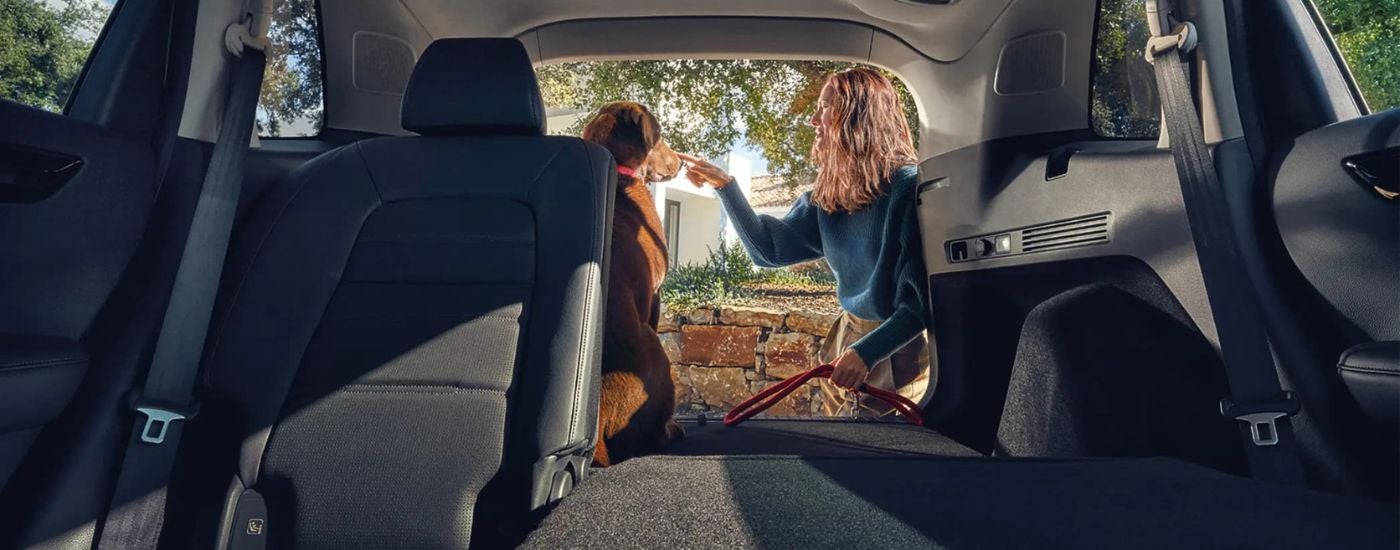 A dog and person are shown sitting the trunk of a 2025 Honda CR-V Hybrid.